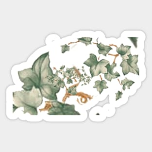 Evelyns Vine Sticker